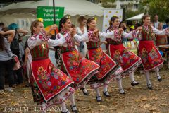 20220723-Kulturfestival-Stadtteilfest-47