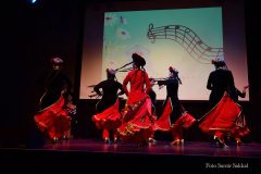 2025-03-23-Morgen_Newroz-Fest_Foto-Samir-Sakkal-233-